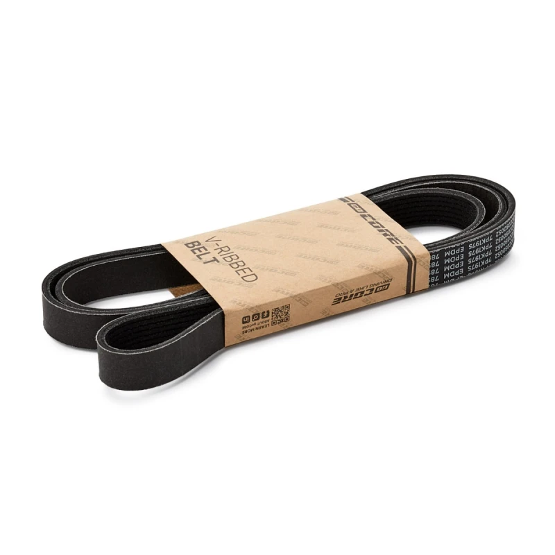 Image of goCORE GCC050052 V-ribbed belt V-Ribbed Belts (305)