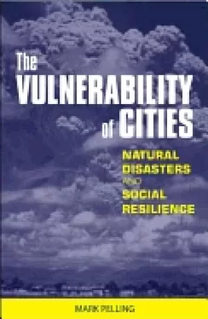 Image of vulnerability of cities