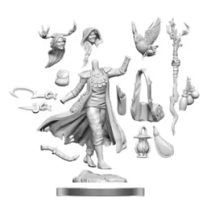 Image of Dungeons & Dragons Frameworks: Human Druid Female for Merchandise