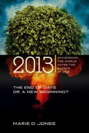 Image of 2013 by Marie D Jones
