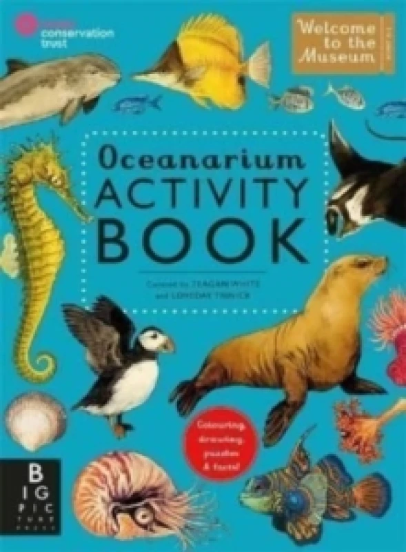 Image of Oceanarium Activity Paperback / softback