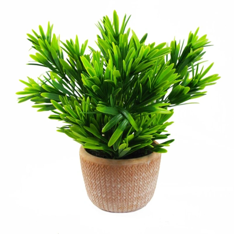 Image of Leaf 22cm Foliage Honey Plant Dark Green in Terracotta Pot Green unisex