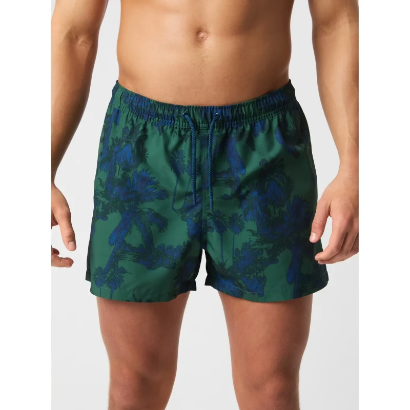 Image of Swim shorts printed Bjorn Borg Vert Male L