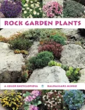 Image of rock garden plants