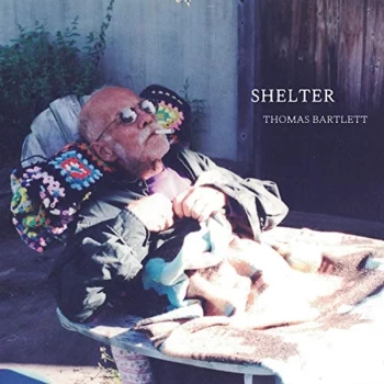 image of Thomas Bartlett - Shelter Vinyl