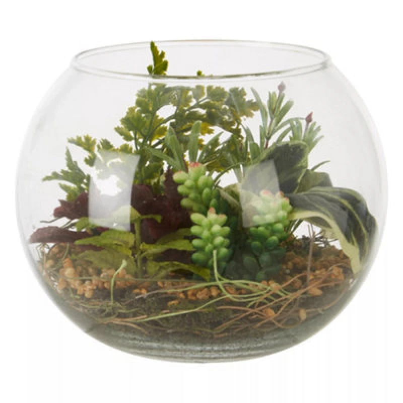 Image of Premier Housewares Fiori Large Glass Pot Mixed Succulent Clear