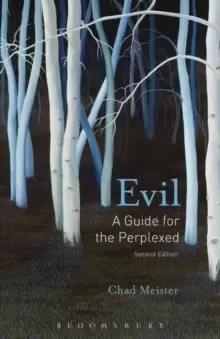 Image of Evil: A Guide for the Perplexed