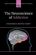 Image of neuroscience of addiction