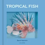 Image of tropical fish pop up