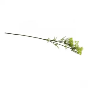 image of Single Spray of Cow Parsley With White Flowers, 79cm