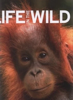 Image of Life in the Wild by Thomas Marent Hardback