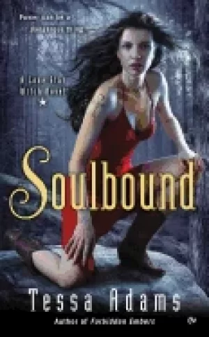 Image of soulbound a lone star witch novel
