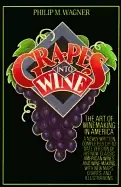 Image of grapes into wine