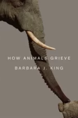 Image of how animals grieve