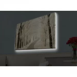 Image of 4570HDACT-057 Multicolor Decorative LED Lighted Canvas Painting