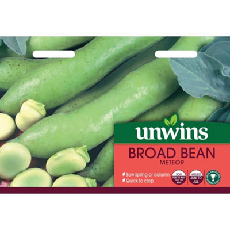 Image of Unwins Broad Bean Meteor