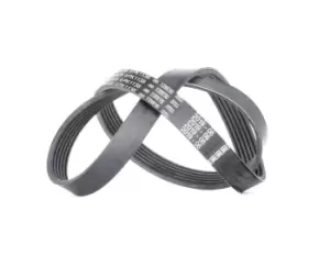 Image of Bosch V-ribbed belt 1 987 948 479 Serpentine belt,Auxiliary belt VW,AUDI,OPEL,Transporter V Bus (7HB, 7HJ, 7EB, 7EJ, 7EF, 7EG, 7HF, 7EC)