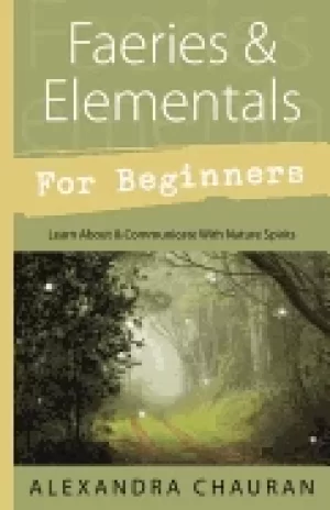 Image of faeries and elementals for beginners learn about and communicate with natur