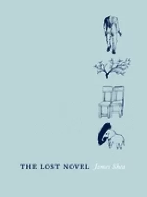 Image of lost novel