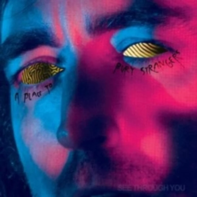 Image of See Through You Vinyl