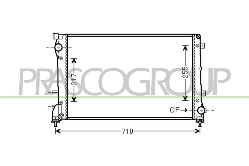 Image of PRASCO Engine radiator PRASCO FT030R004
