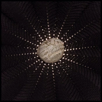 Image of Nat Baldwin - In The Hollows CD