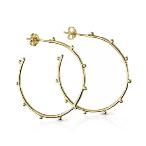 image of Aiyana Anahita Gold Plated Silver Studded Open Hoop Earrings