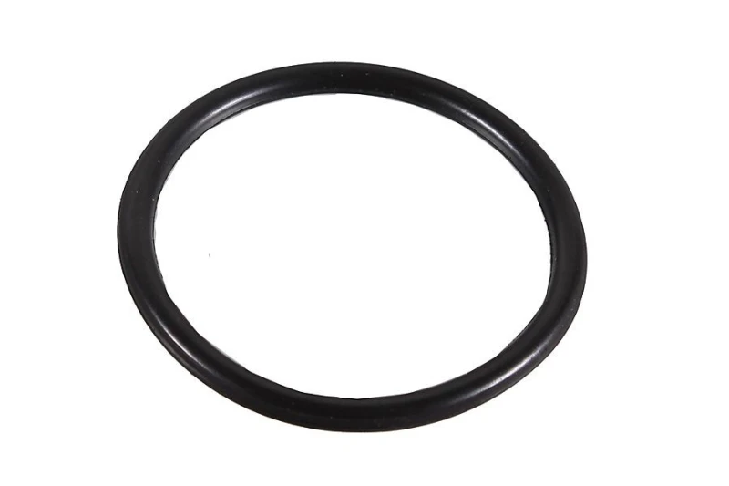 Image of Seal Ring METZGER 2430009