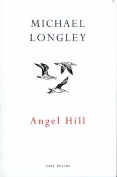 Image of Angel Hill by Michael Longley Book
