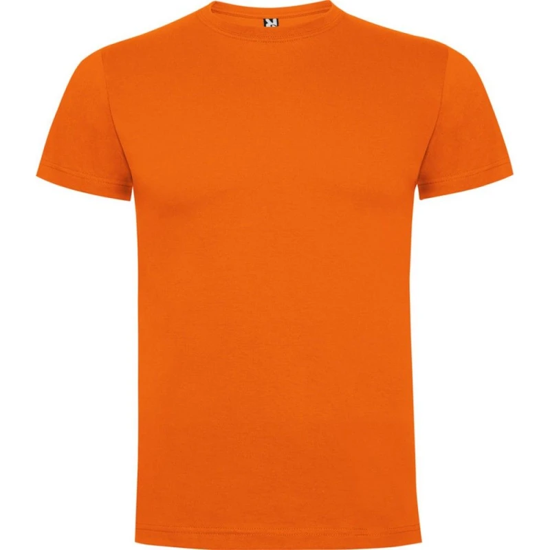 Image of Roly Dogo boys's Children's T shirt in Orange