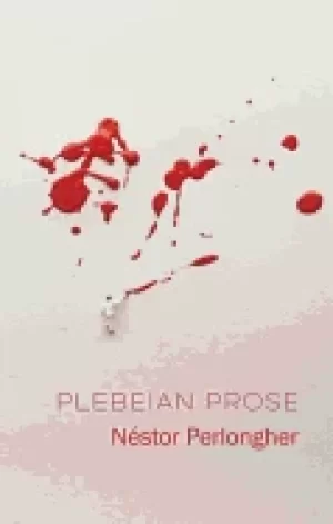 Image of plebeian prose
