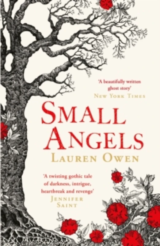 Image of Small Angels : 'A twisting gothic tale of darkness, intrigue, heartbreak and revenge' Jennifer Saint Paperback / softback