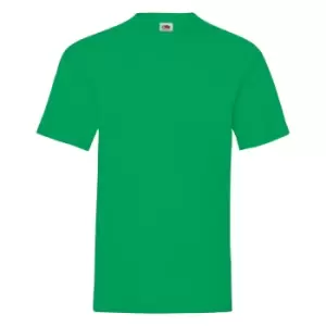 Image of Fruit Of The Loom Mens Valueweight Short Sleeve T-Shirt (M) (Kelly Green)