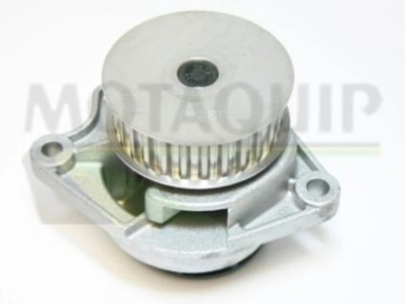 Image of MOTAQUIP Water pump MOTAQUIP VWP751