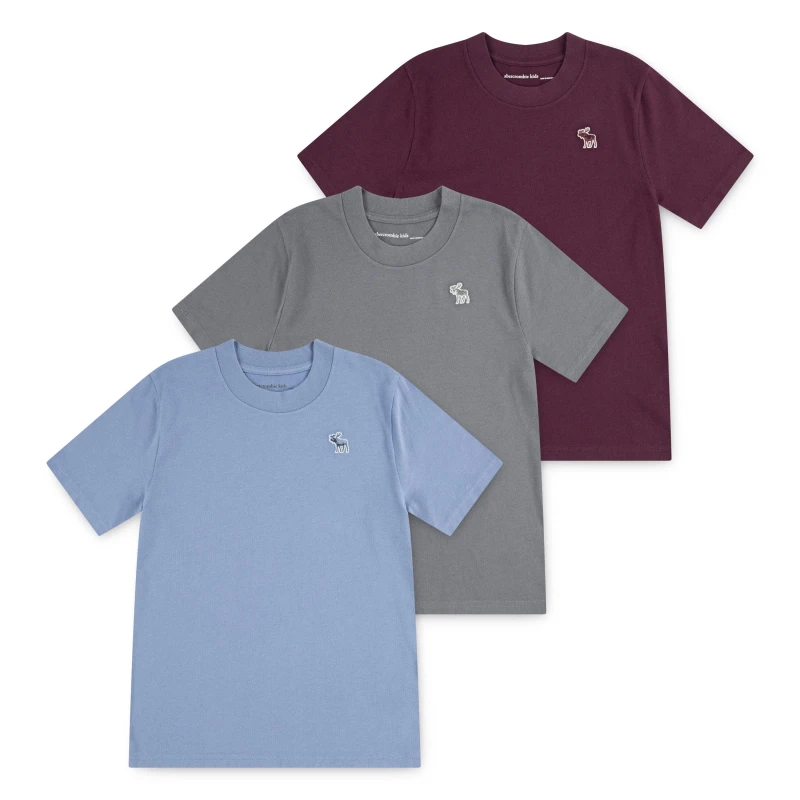 Image of Abercrombie and Fitch Kids Breathable Clothing Set Fig P4U male 13-14Y