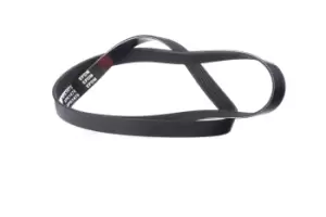 Image of RIDEX V-ribbed belt FIAT,PEUGEOT,CITROEN 305P0068 12643218,5750EM,5750LA Serpentine belt,Auxiliary belt,Poly V-belt,Ribbed belt,Multi V-belt,Poly belt