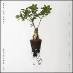 Image of let the soil play its simple part
