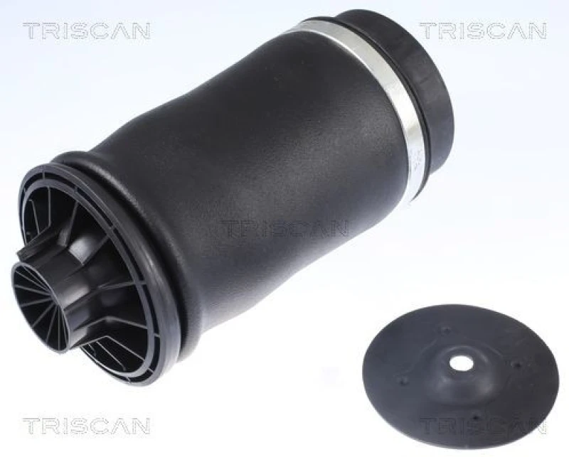 Image of TRISCAN Air Spring, suspension TRISCAN 8720 23204
