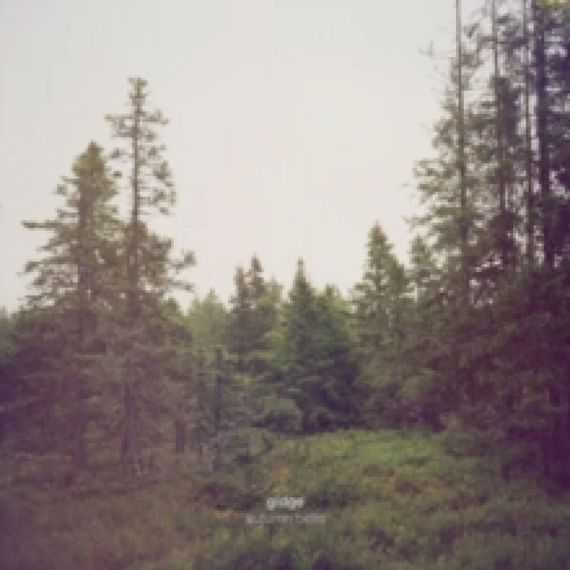 Image of Autumn Bells (10th Anniversary Edition) Vinyl