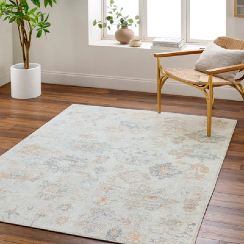 Image of Our Pnw Home X Livabliss Vintage Oriental Boho Light Brown Olympic Area Rug 200 X 275cm - Easy Care, Ideal For Living Room
