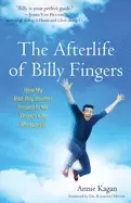 Image of afterlife of billy fingers how my bad boy brother proved to me theres life