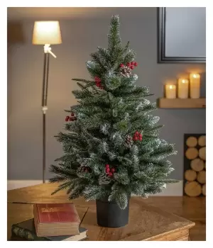 Image of The Tree Company 3ft New Jersey Spruce Christmas Tree