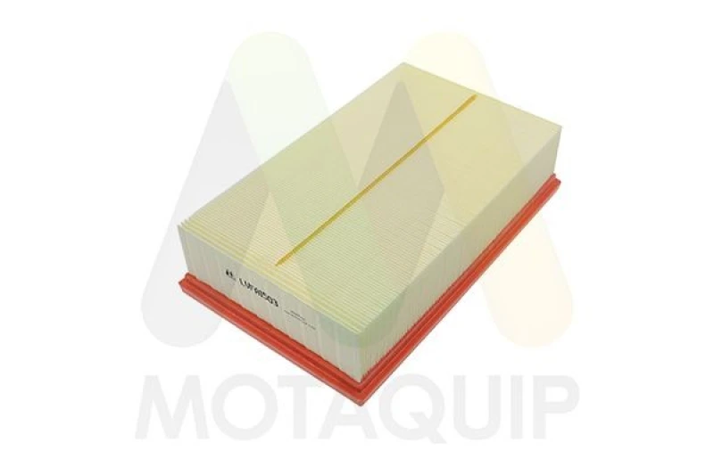 Image of MOTAQUIP Air filter MOTAQUIP LVFA1503