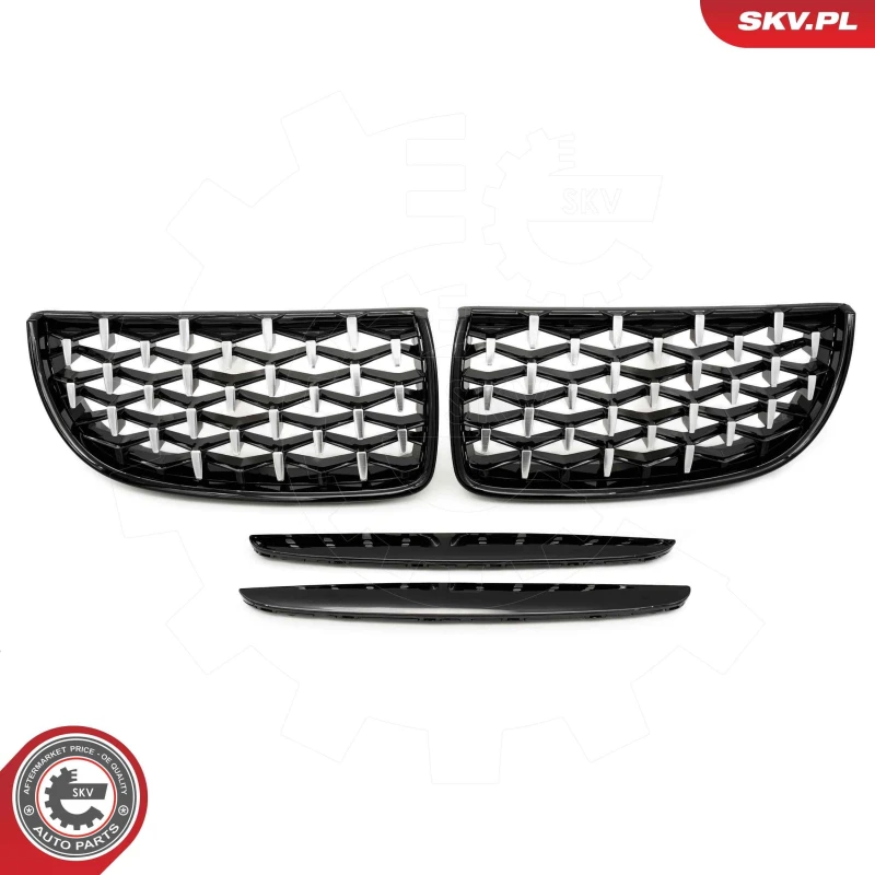 Image of ESEN SKV Radiator Grille ESEN SKV 66SKV094