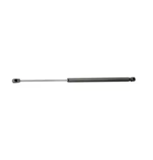 Image of RIDEX Tailgate strut VOLVO 219G0944 3529925