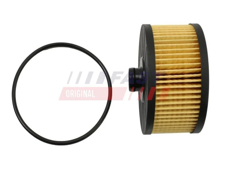 Image of FAST Oil filter FAST FT38097