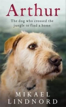 Image of Arthur by Mikael Lindnord Paperback