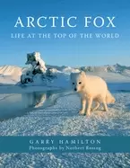 Image of arctic fox life at the top of the world