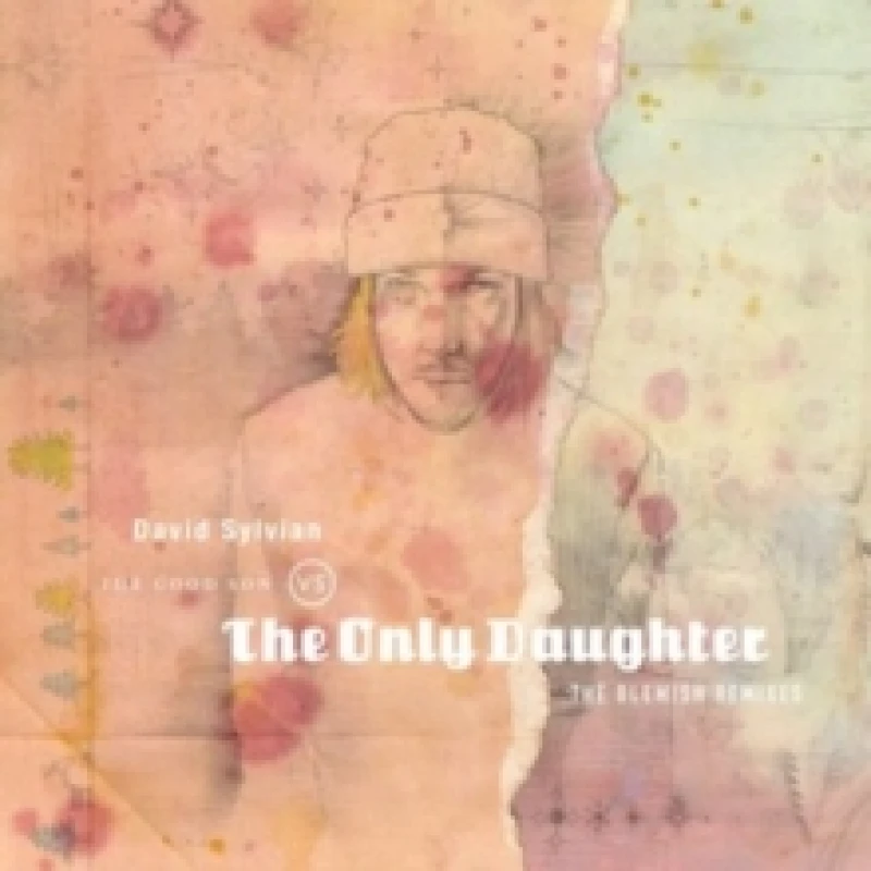 Image of The Good Song Vs the Only Daughter: The Blemish Remixes Vinyl