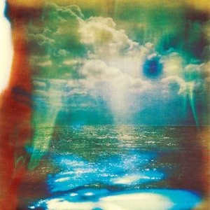 Image of The Horrors - Skying CD